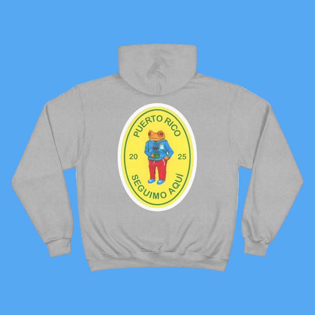 Gray hoodie with a colorful graphic on the chest against a white background